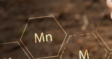 Canadian Phosphate is building a portfolio of advanced, high-quality sedimentary phosphate assets across North America.